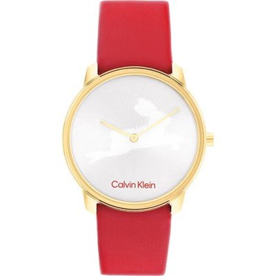 Montre Calvin Klein 25200219 Iconic