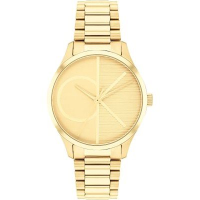 Montre Calvin Klein 25200346 ICONIC