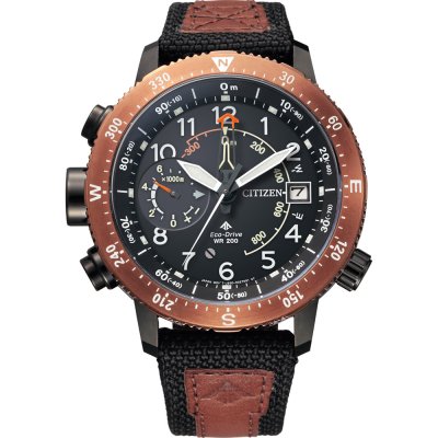 Montre Citizen Sky BN4049-11E Promaster Altichron