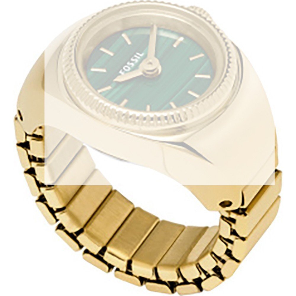 Bracelet Fossil AES5308 Ringwatch