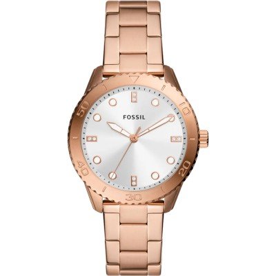 Montre Fossil BQ3886 Dayle