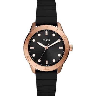 Montre Fossil BQ3892 Dayle