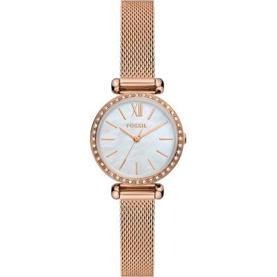 Montre Fossil BQ3897 Tillie Mini