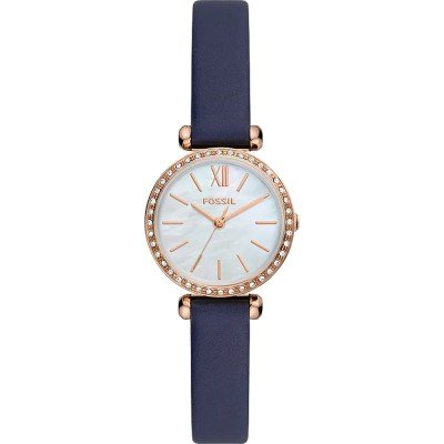 Montre Fossil BQ3899 Tillie Mini