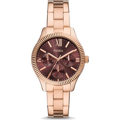 Montre Fossil BQ3969 Rye