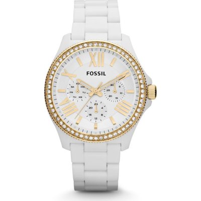 Montre Fossil AM4493 Cecile