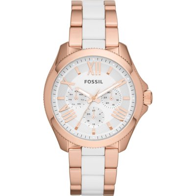 Fossil Watch Time 3 hands Cecile AM4546