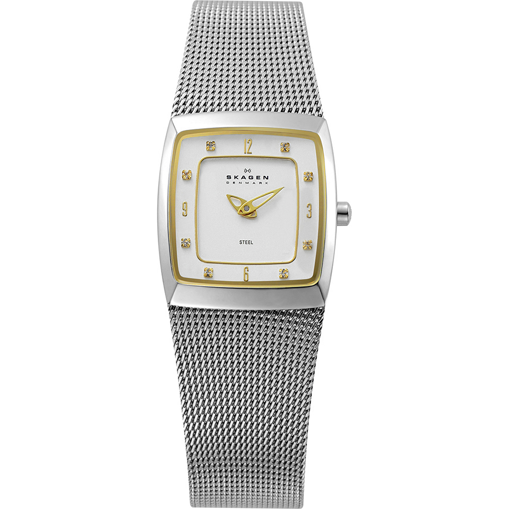 Skagen Watch Time 2 Hands 380 Tondo 380XSGS1