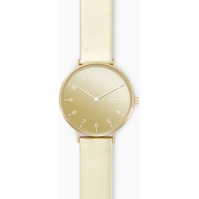 Montre Skagen SKW2852 Aaren