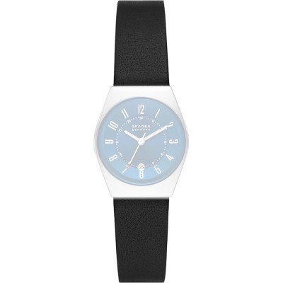 Bracelet Skagen ASKW3036 Grenen Lille