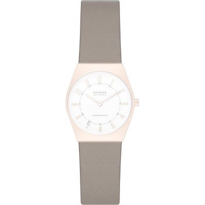 Bracelet Skagen ASKW3079 Grenen Lille Solar