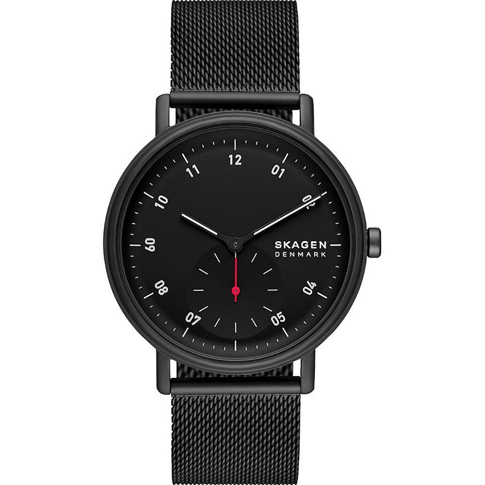 Pile montre online skagen