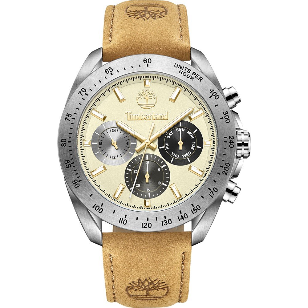 Montre Timberland TDWGF0009803 Carrigan