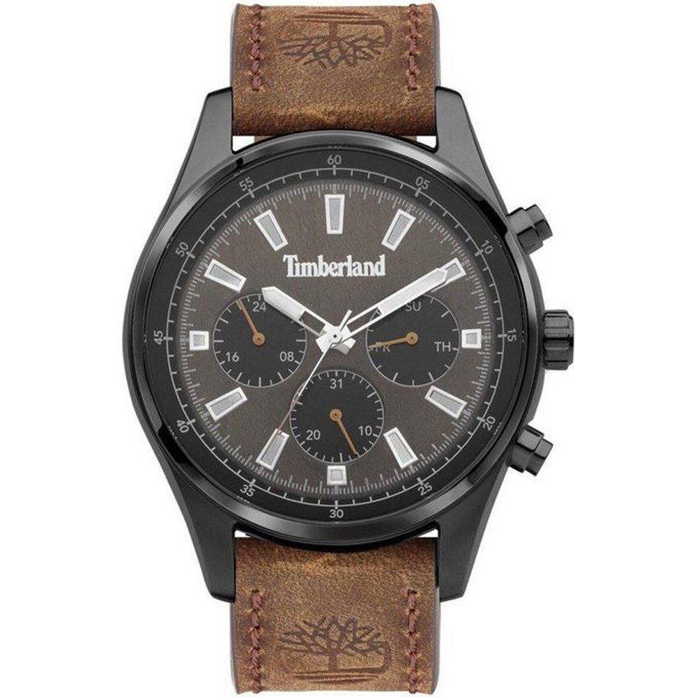 Montre Timberland TDWGF2100402 Demarest