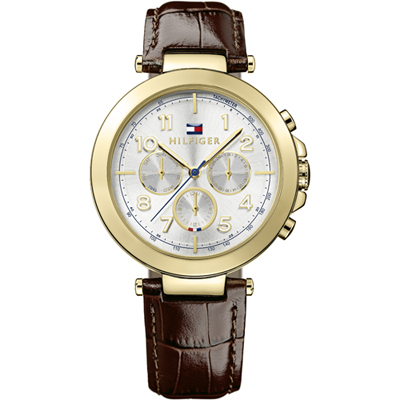 Tommy Hilfiger Tommy Hilfiger Watches 1781453 Cary montre