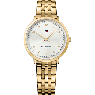 Tommy Hilfiger Tommy Hilfiger Watches 1781761 Ultra Slim montre